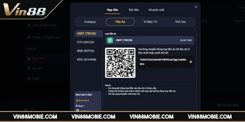 nap-tien-vin88-mot-so-loai-hinh