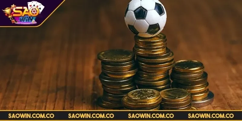 the-thao-vin88-diem-den-ly-tuong-cho-hoi-vien