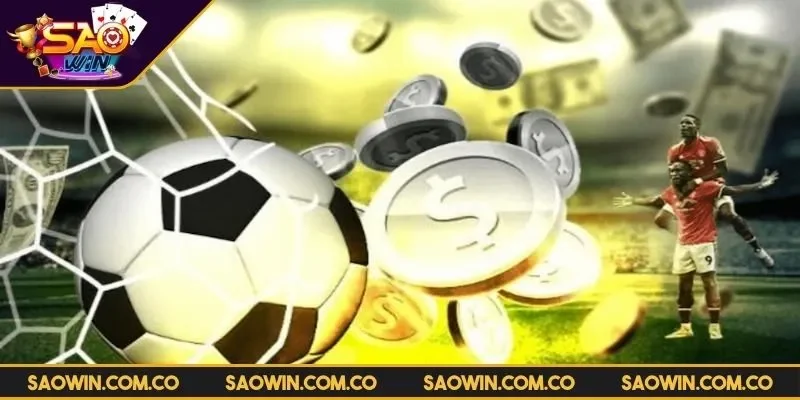 the-thao-vin88-van-de-quan-trong-can-luu-y